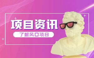 项目资讯